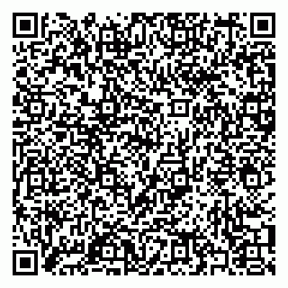vCard 79397079520