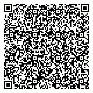 vCard 79397079681