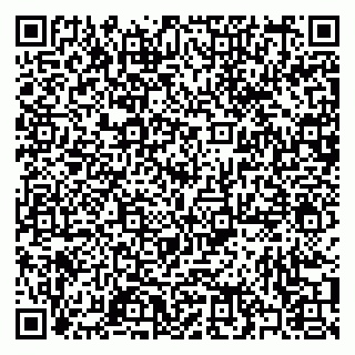vCard 79397080011