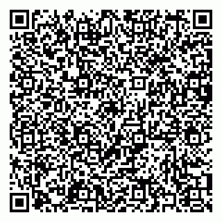 vCard 79397080135