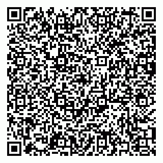 vCard 79397080138