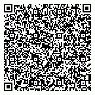 vCard 79397080209