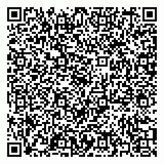 vCard 79397080297