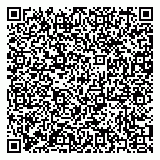 vCard 79397080324