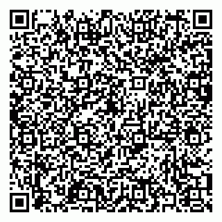 vCard 79397080531