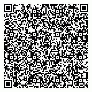 vCard 79397080931