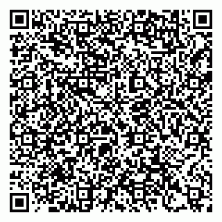 vCard 79397081003