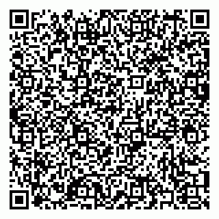 vCard 79397081031