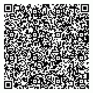 vCard 79397081033