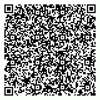 vCard 79397081301