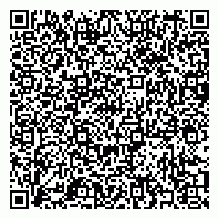 vCard 79397081333