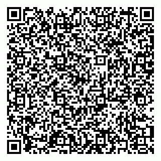 vCard 79397081353