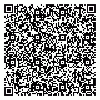 vCard 79397081382
