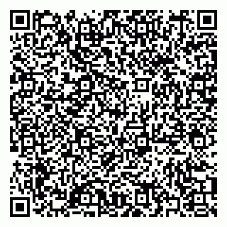 vCard 79397081787