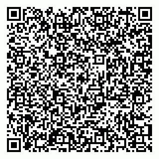 vCard 79397082381