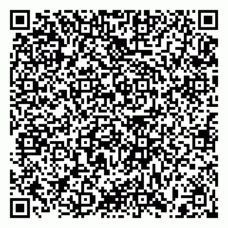 vCard 79397083204
