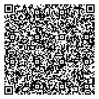 vCard 79397083713