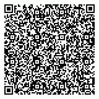 vCard 79397083731
