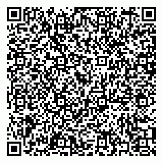 vCard 79397084011