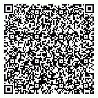 vCard 79397085011