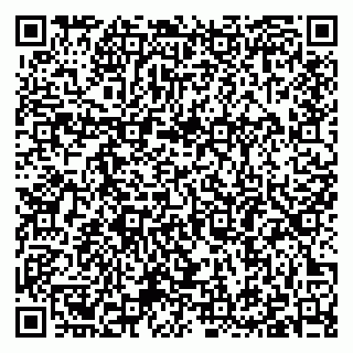 vCard 79397085031