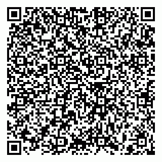 vCard 79397085063