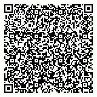 vCard 79397085093