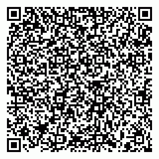 vCard 79397085101