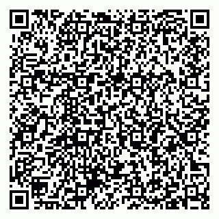 vCard 79397085153