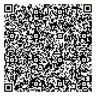 vCard 79397085235