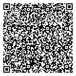 vCard 79397085293