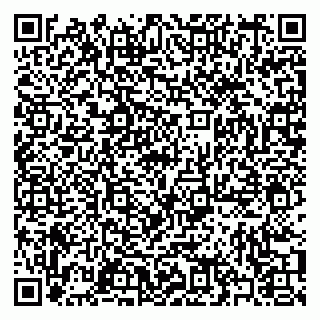vCard 79397085382
