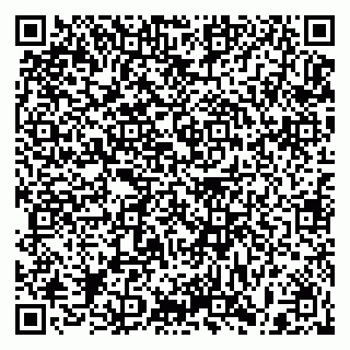 vCard 79397085387