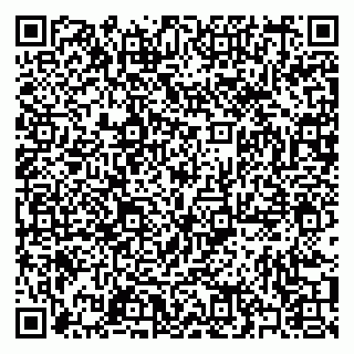 vCard 79397085393
