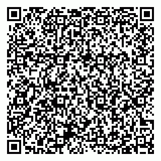 vCard 79397085411