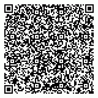 vCard 79397085873