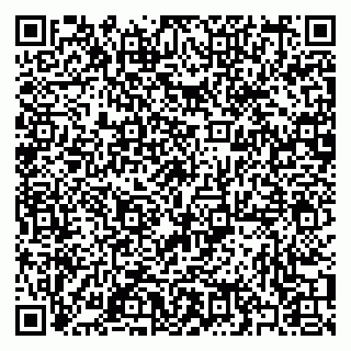 vCard 79397085874