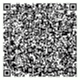 vCard 79397085881