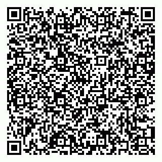 vCard 79397087127