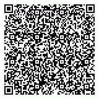 vCard 79397087217