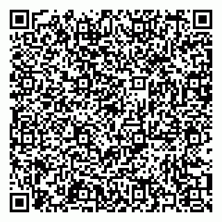 vCard 79397087313