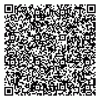 vCard 79397087381