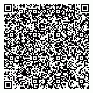 vCard 79397088033