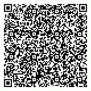 vCard 79397089032