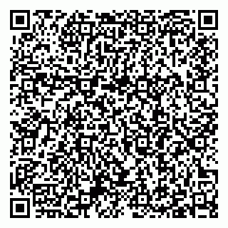 vCard 79397089731