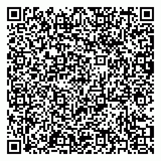 vCard 79397089733