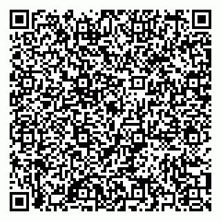 vCard 79397090081