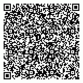 vCard 79397090103