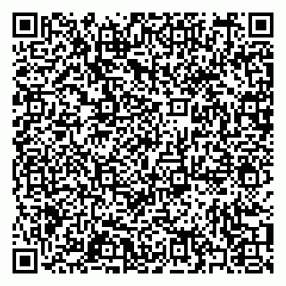 vCard 79397090291