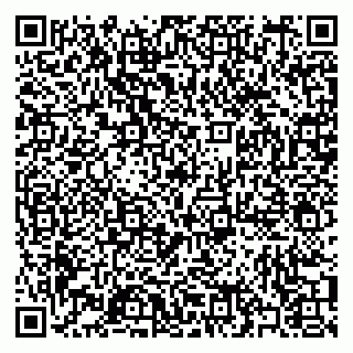 vCard 79397090306